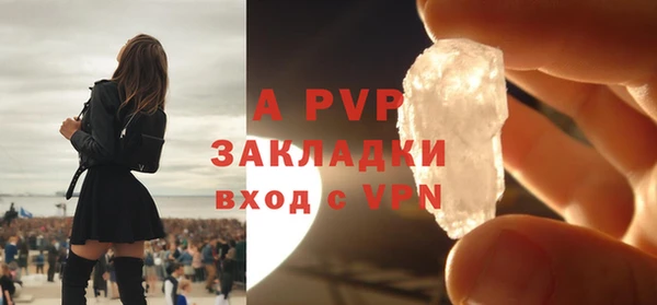 ECSTASY Бородино