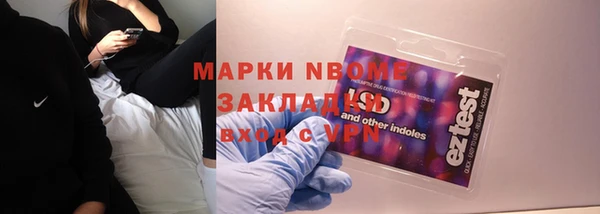 ECSTASY Бородино