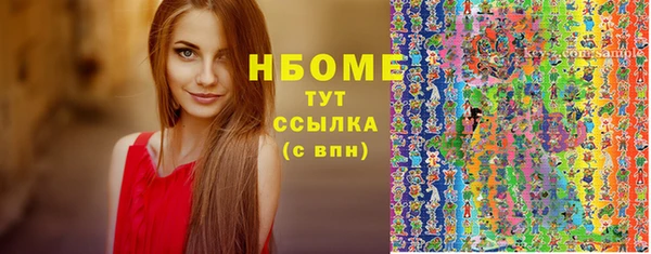 ECSTASY Бородино