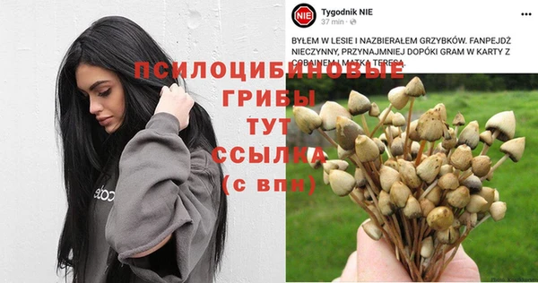 прущие крисы Бронницы