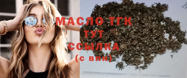 ECSTASY Бородино