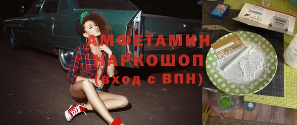 ECSTASY Бородино