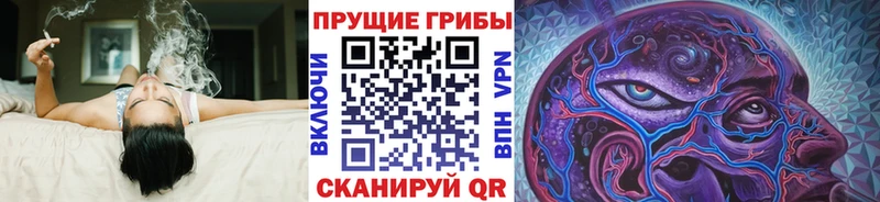 закладка  Новоульяновск  KRAKEN   Галлюциногенные грибы Psilocybe 