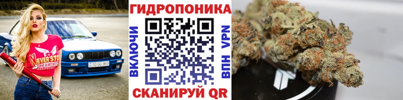 Канабис семена  Новоульяновск 